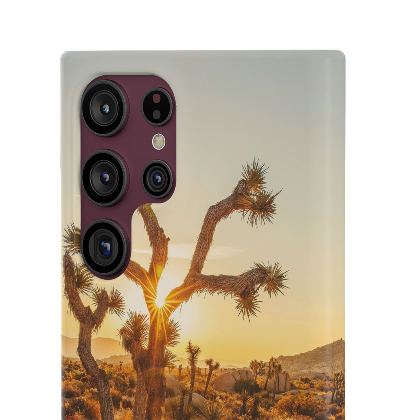Desert Sunset Cajasol - Stylish Protection for Nature Lovers