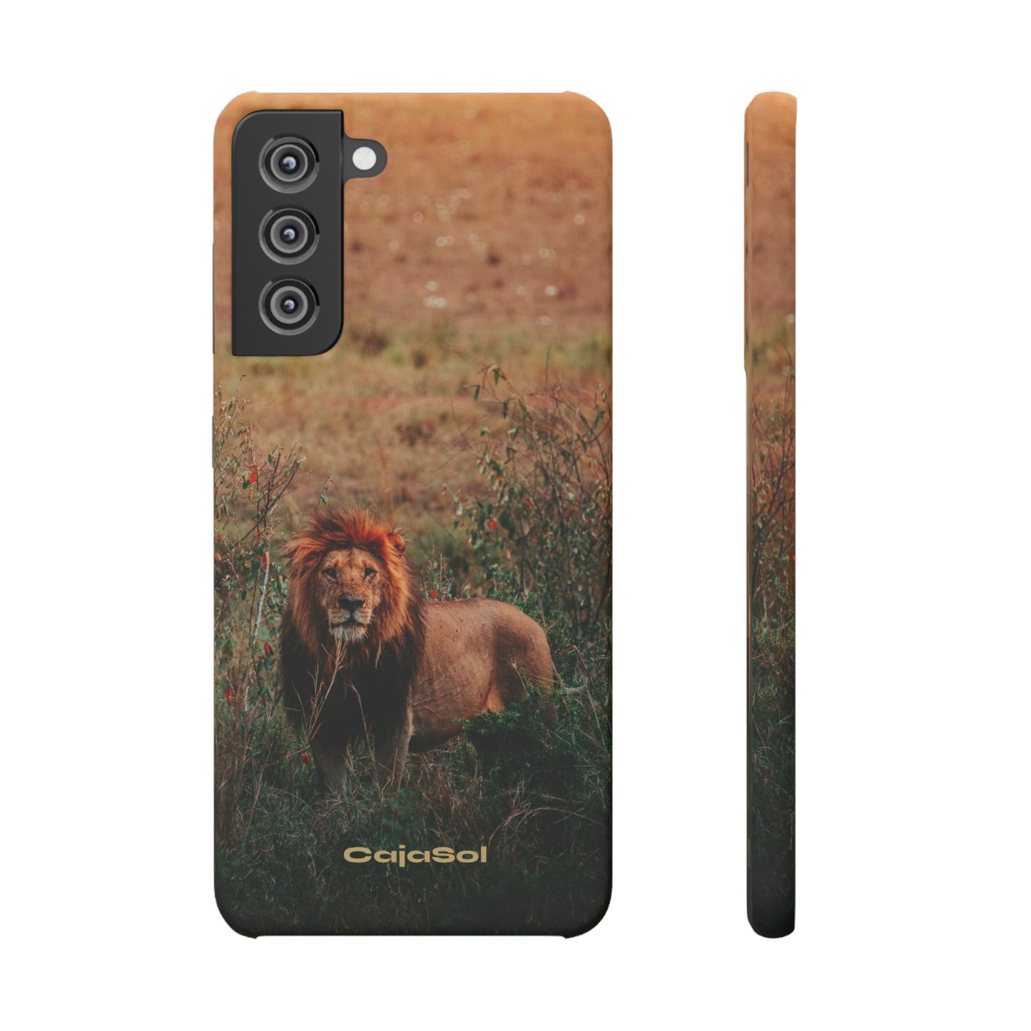 Majestic Lion Cajasol - Nature Inspired