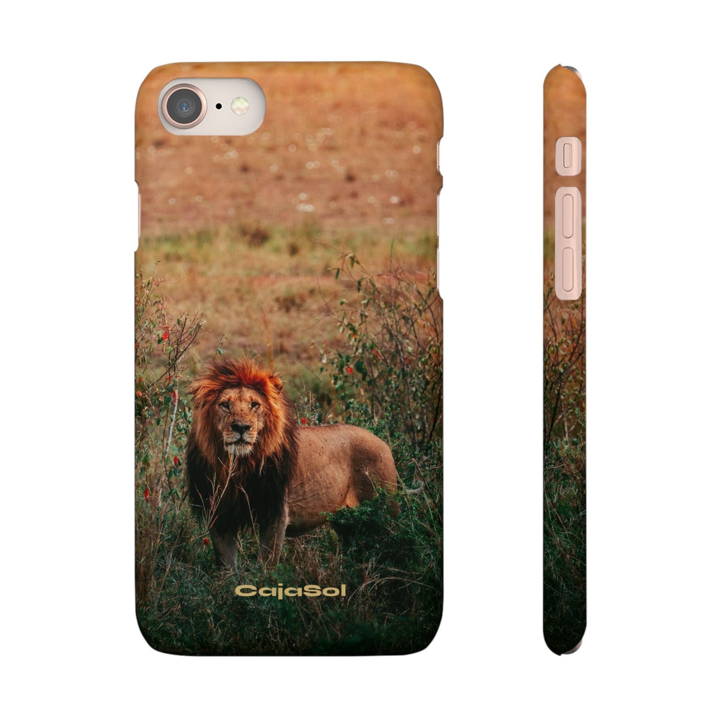 Majestic Lion Cajasol - Nature Inspired
