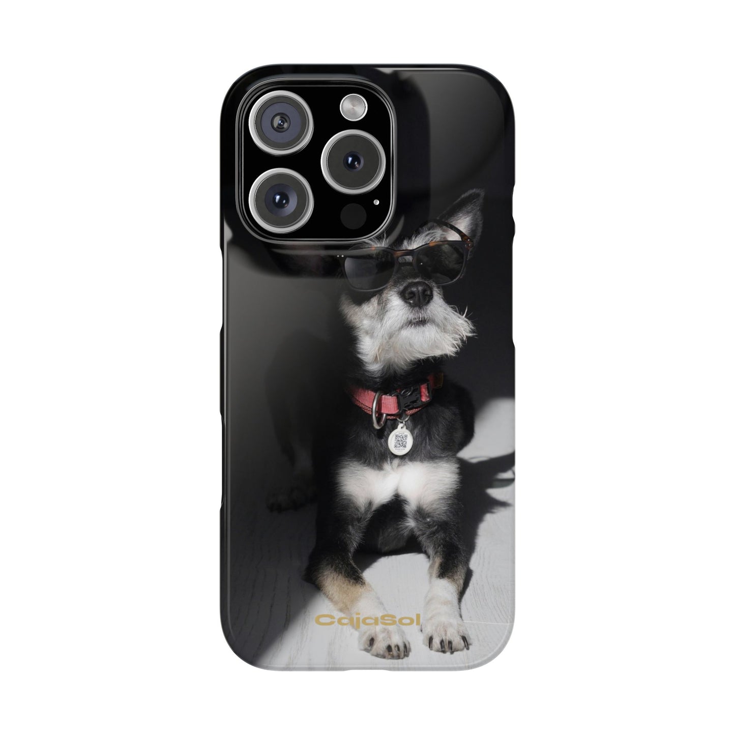 Cool Dog Cajasol - Stylish Pet