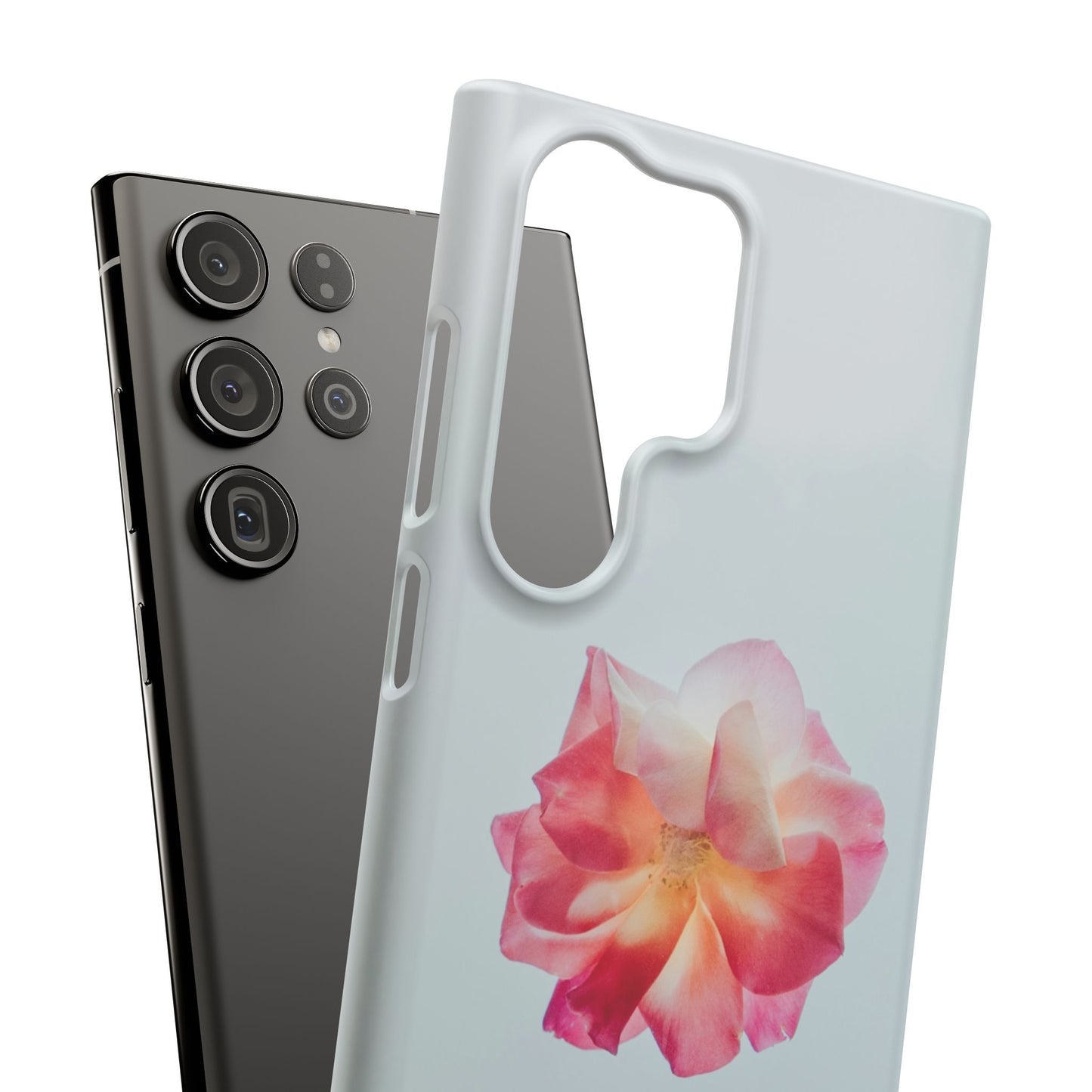 Floral Cajasol - Elegant Pink Flower