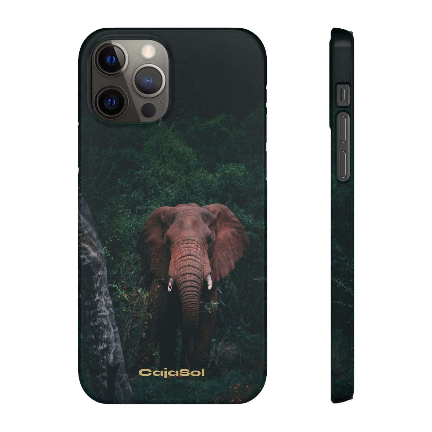 Wildlife Lover's Cajasol - Majestic Elephant