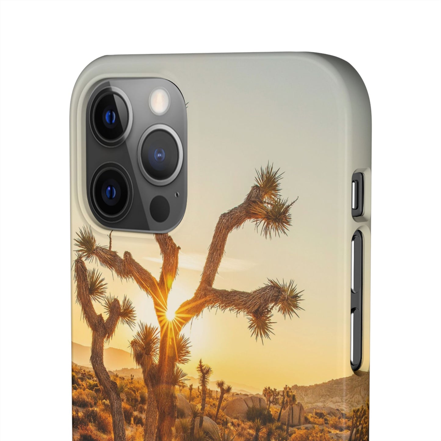 Desert Sunset Cajasol - Stylish Protection for Nature Lovers