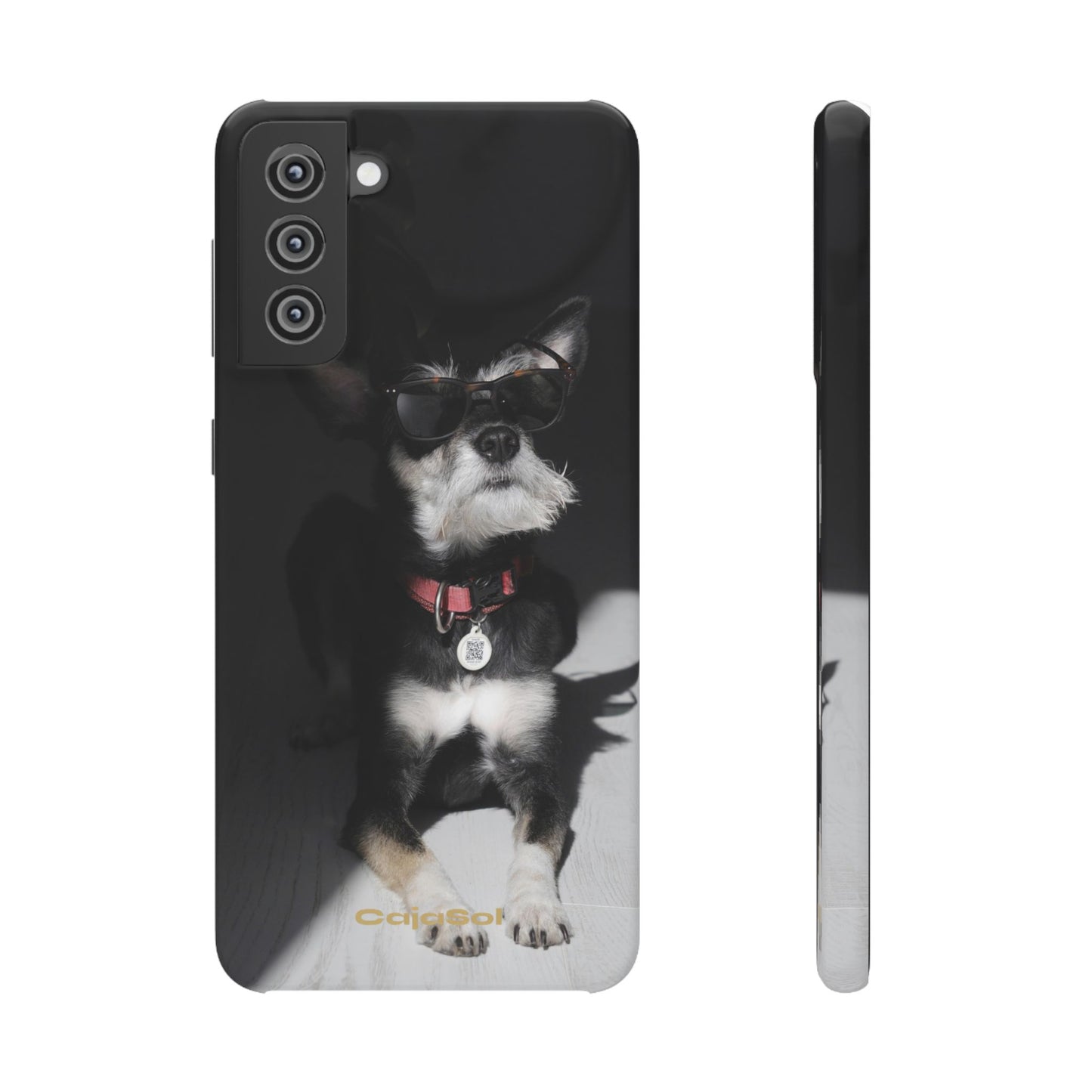 Cool Dog Cajasol - Stylish Pet