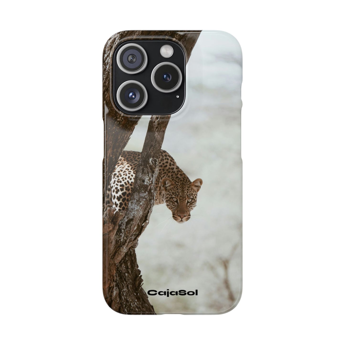 Leopard Cajasol - Wildlife Vibes