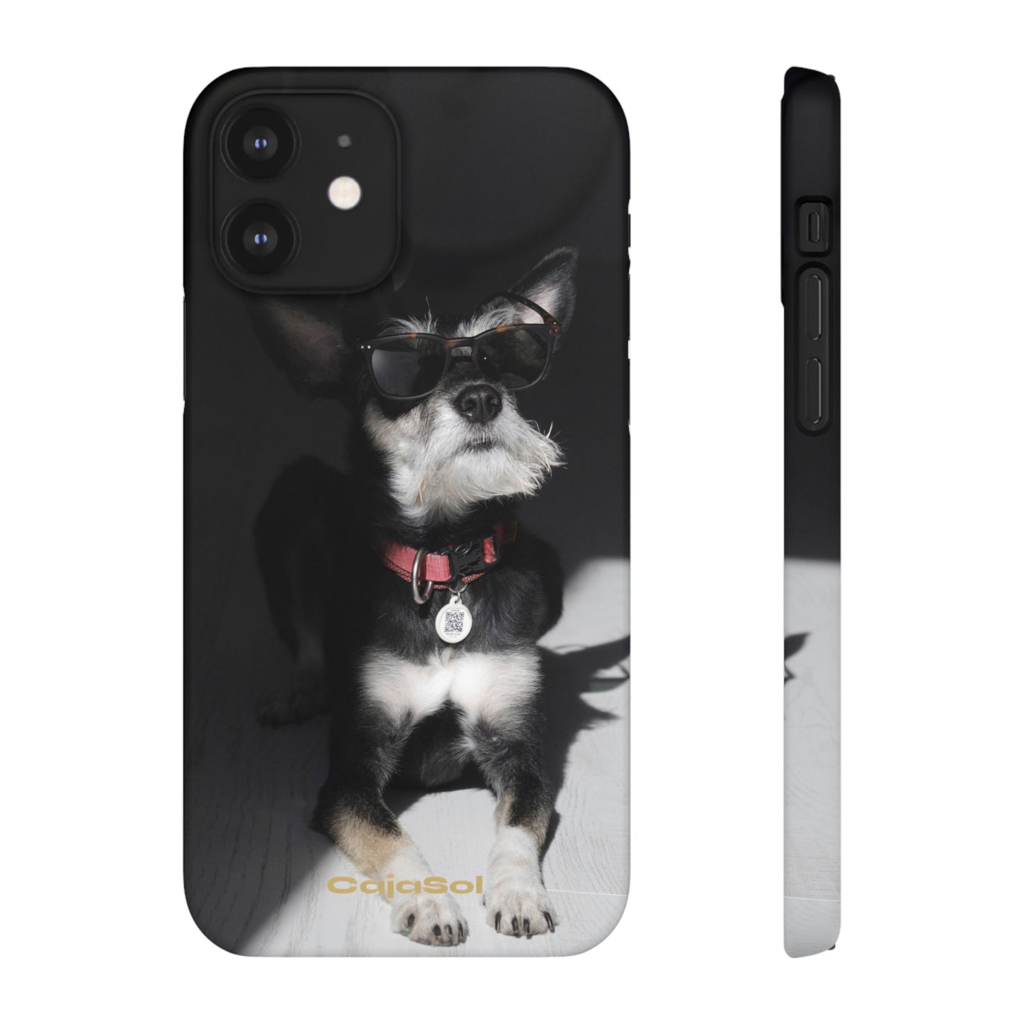 Cool Dog Cajasol - Stylish Pet