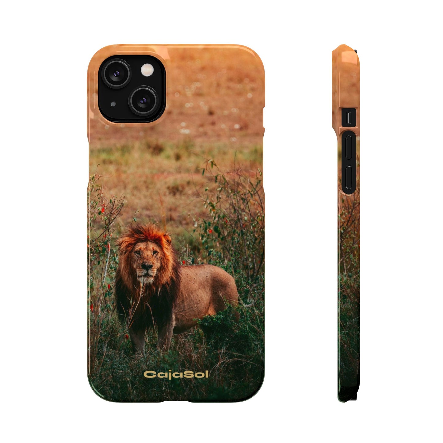 Majestic Lion Cajasol - Nature Inspired