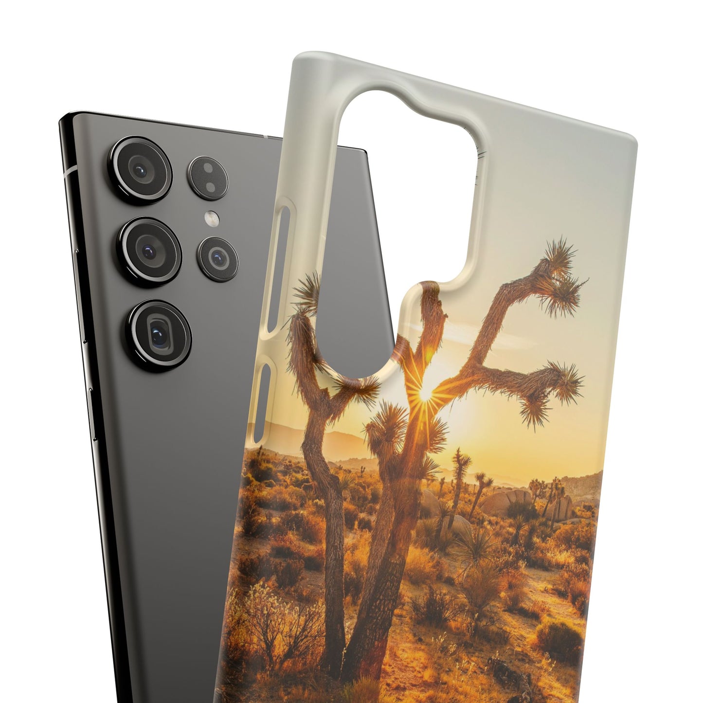 Desert Sunset Cajasol - Stylish Protection for Nature Lovers