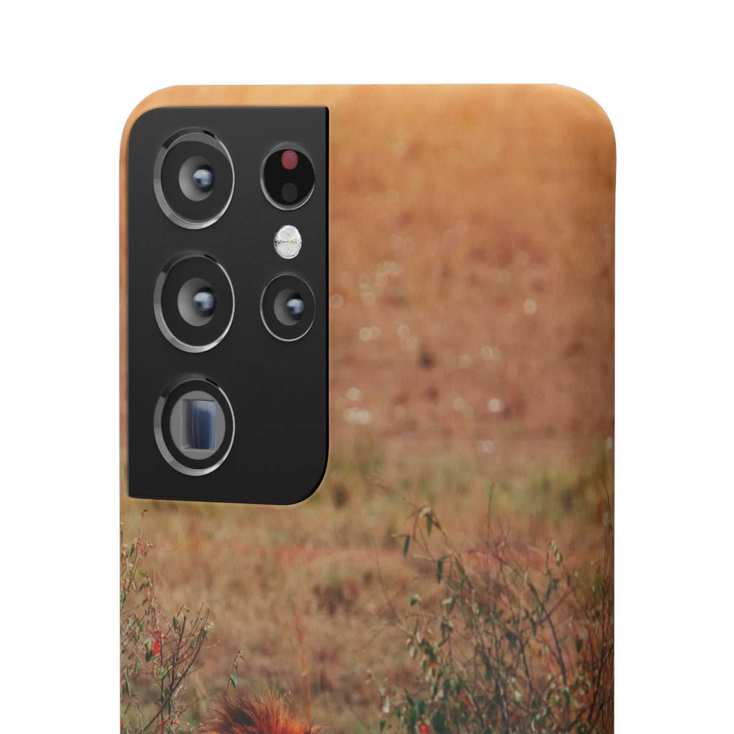 Majestic Lion Cajasol - Nature Inspired