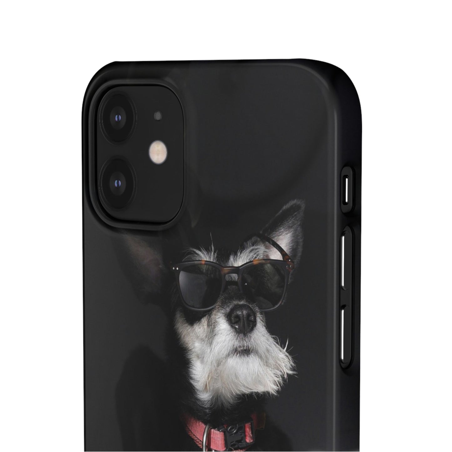 Cool Dog Cajasol - Stylish Pet