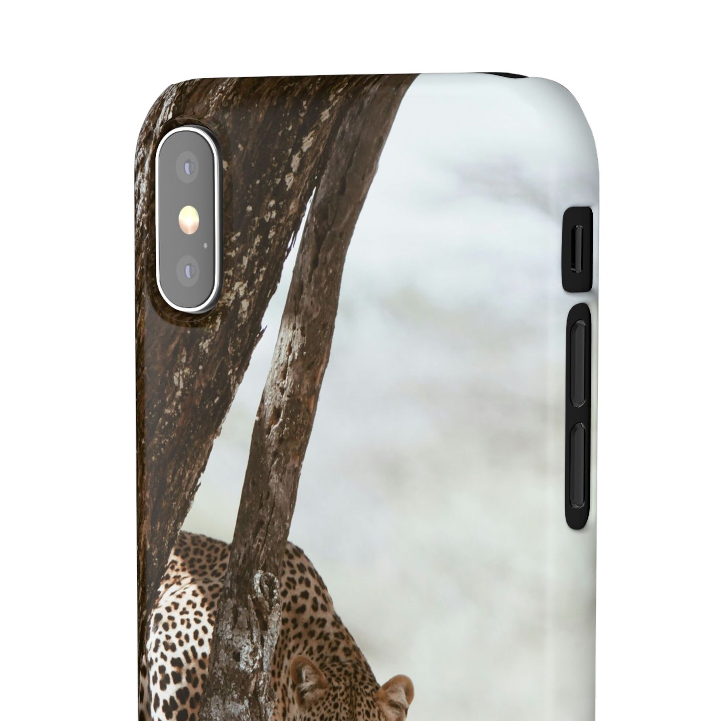 Leopard Cajasol - Wildlife Vibes