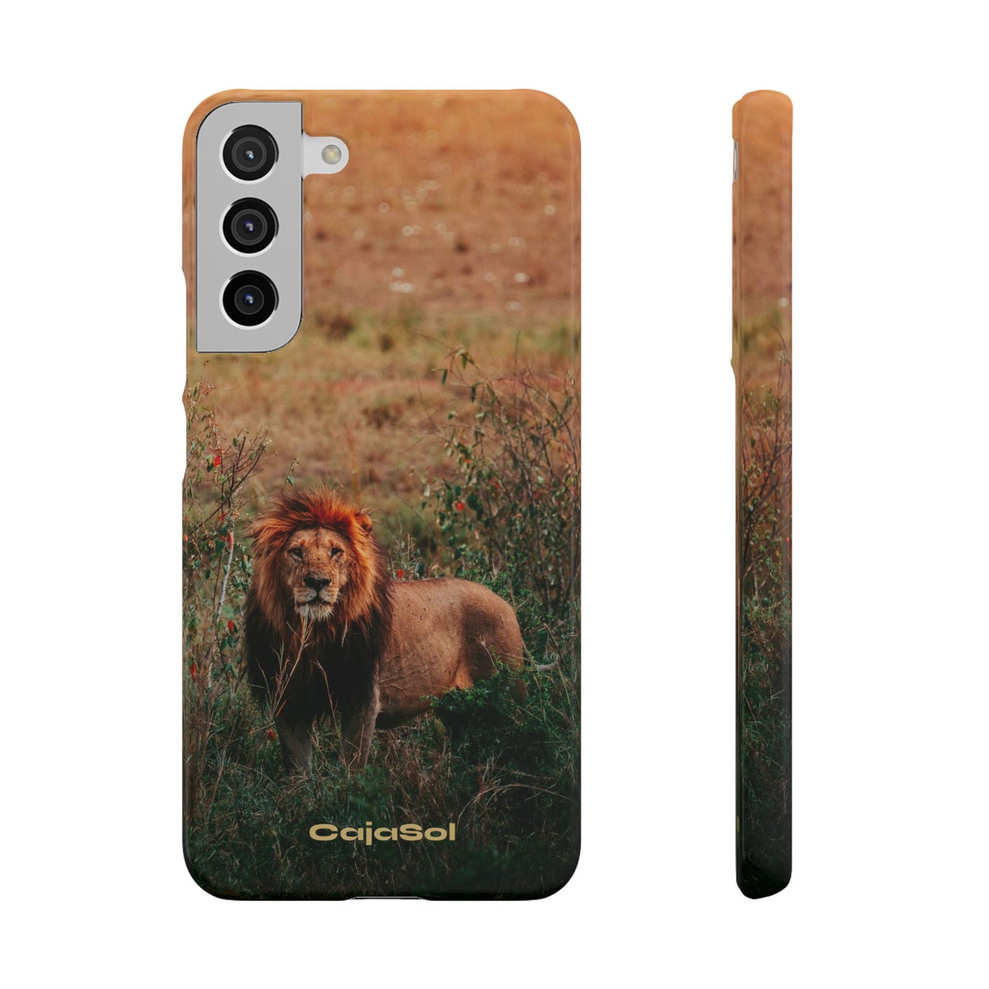 Majestic Lion Cajasol - Nature Inspired