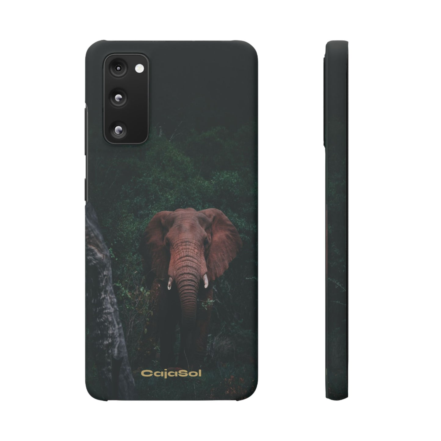Wildlife Lover's Cajasol - Majestic Elephant