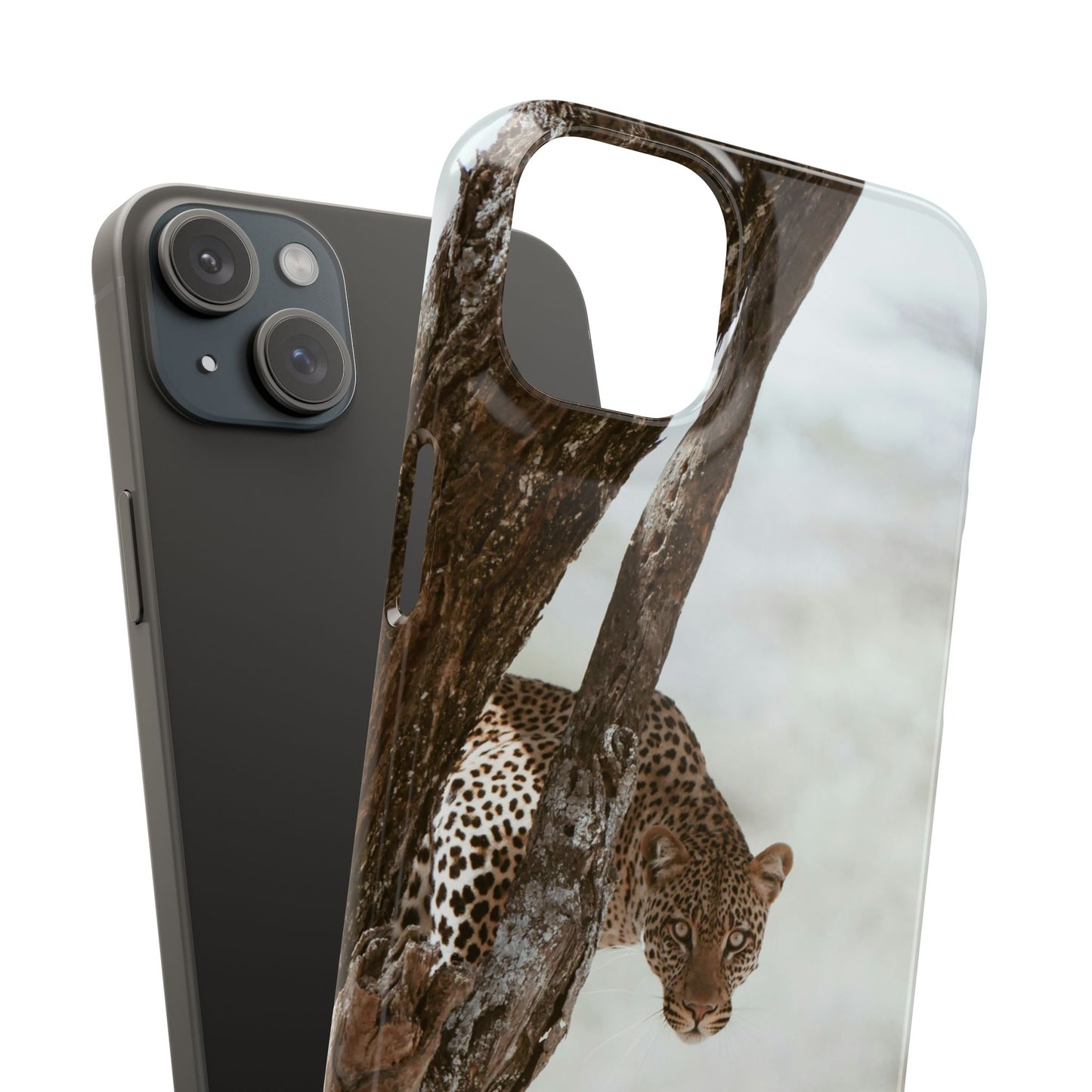 Leopard Cajasol - Wildlife Vibes