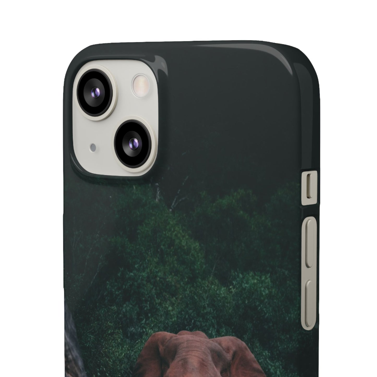 Wildlife Lover's Cajasol - Majestic Elephant