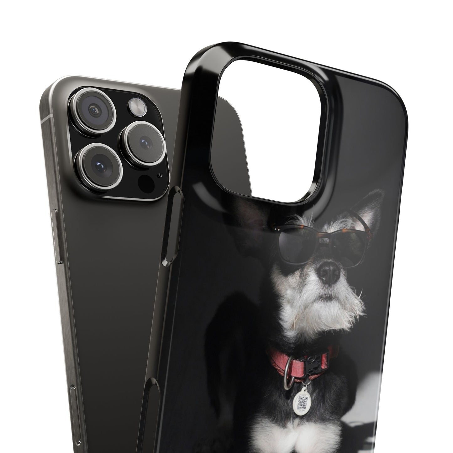 Cool Dog Cajasol - Stylish Pet