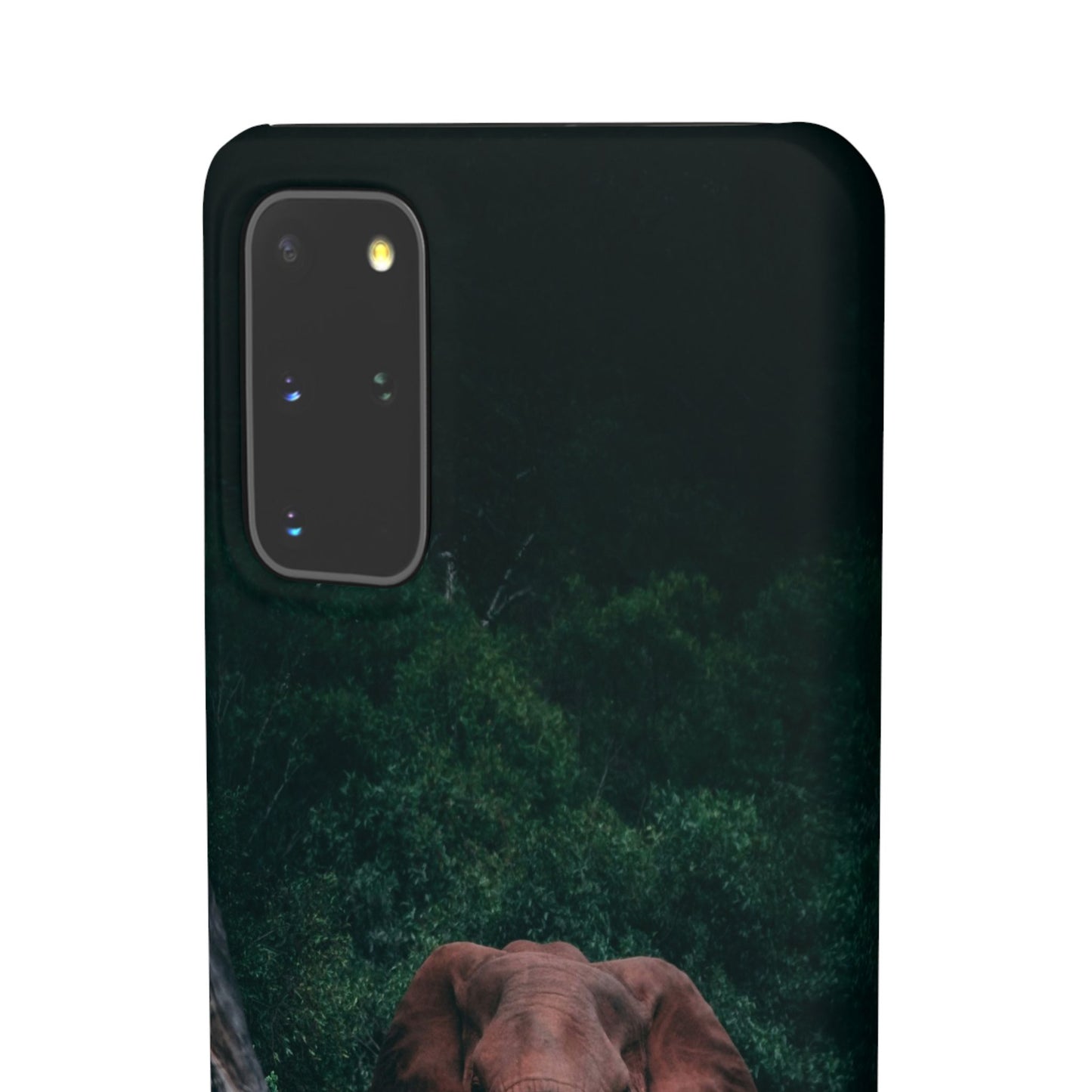 Wildlife Lover's Cajasol - Majestic Elephant