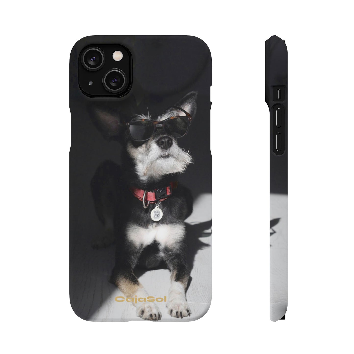 Cool Dog Cajasol - Stylish Pet