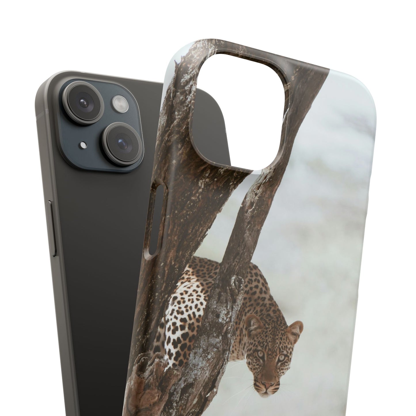 Leopard Cajasol - Wildlife Vibes