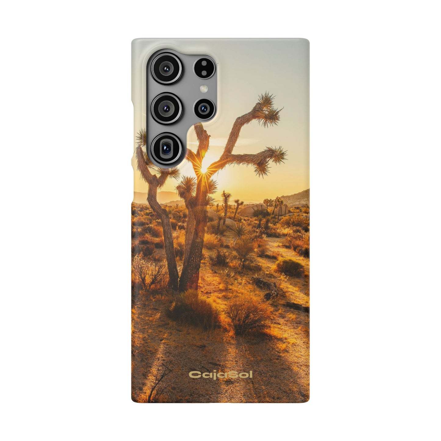 Desert Sunset Cajasol - Stylish Protection for Nature Lovers