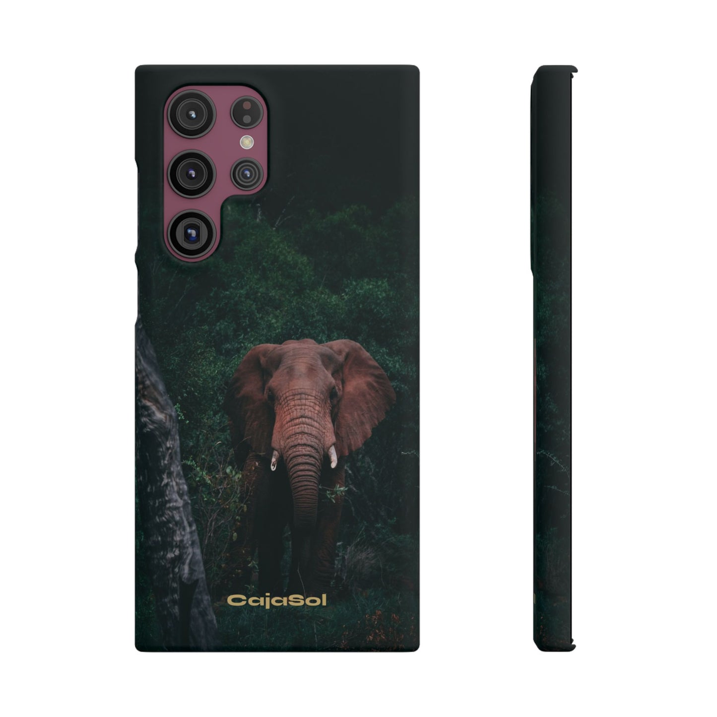 Wildlife Lover's Cajasol - Majestic Elephant