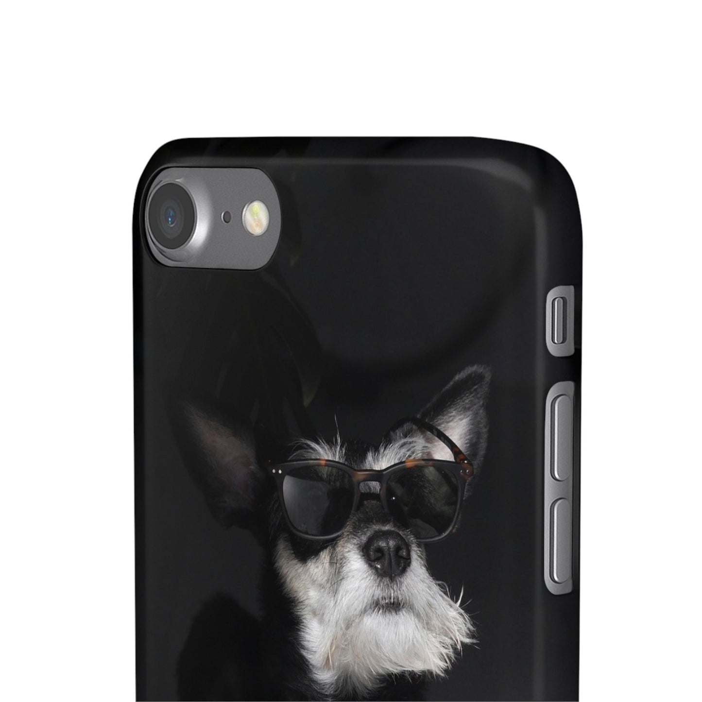 Cool Dog Cajasol - Stylish Pet