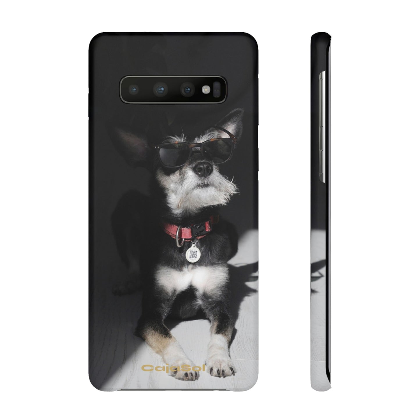 Cool Dog Cajasol - Stylish Pet