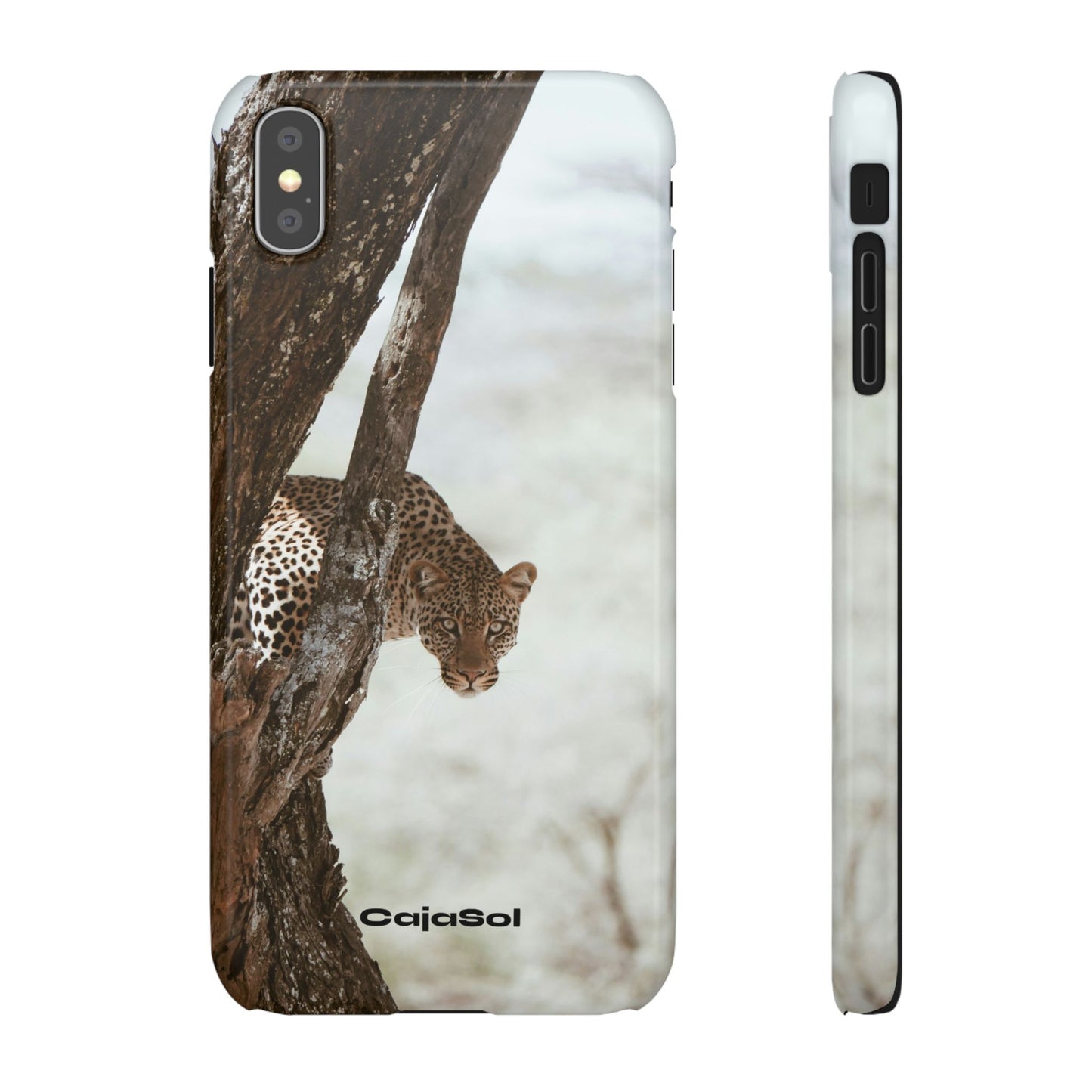 Leopard Cajasol - Wildlife Vibes
