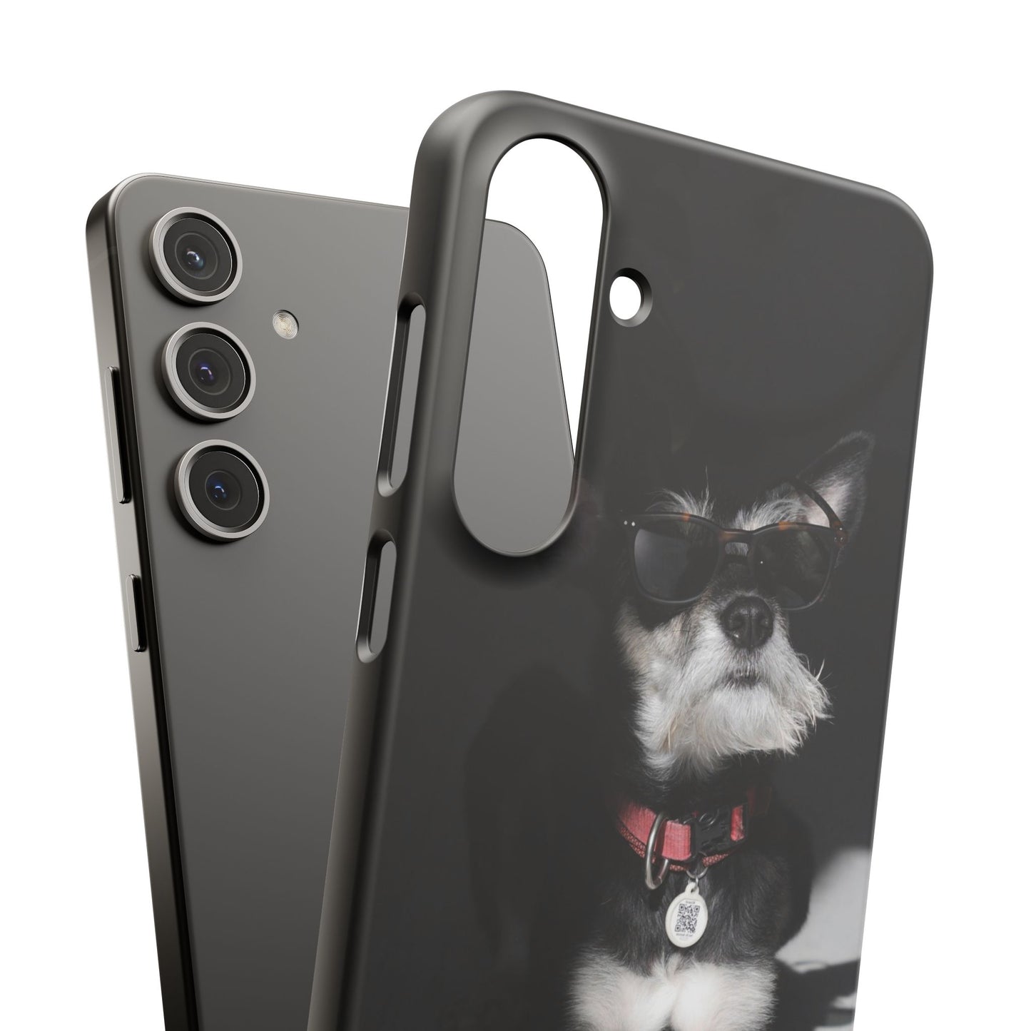 Cool Dog Cajasol - Stylish Pet
