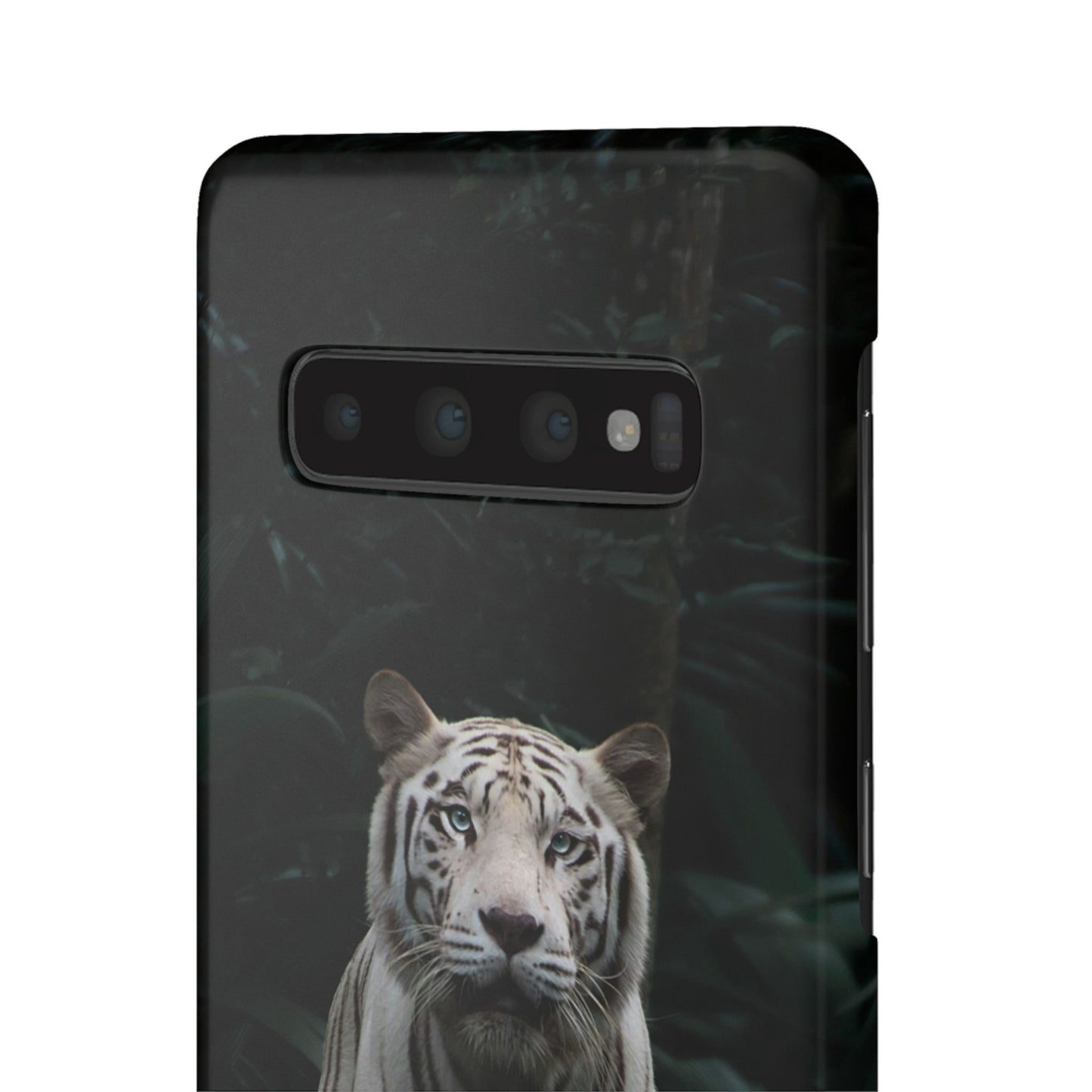 Majestic White Tiger Cajasol - Elegant & Protective for Wildlife Lovers