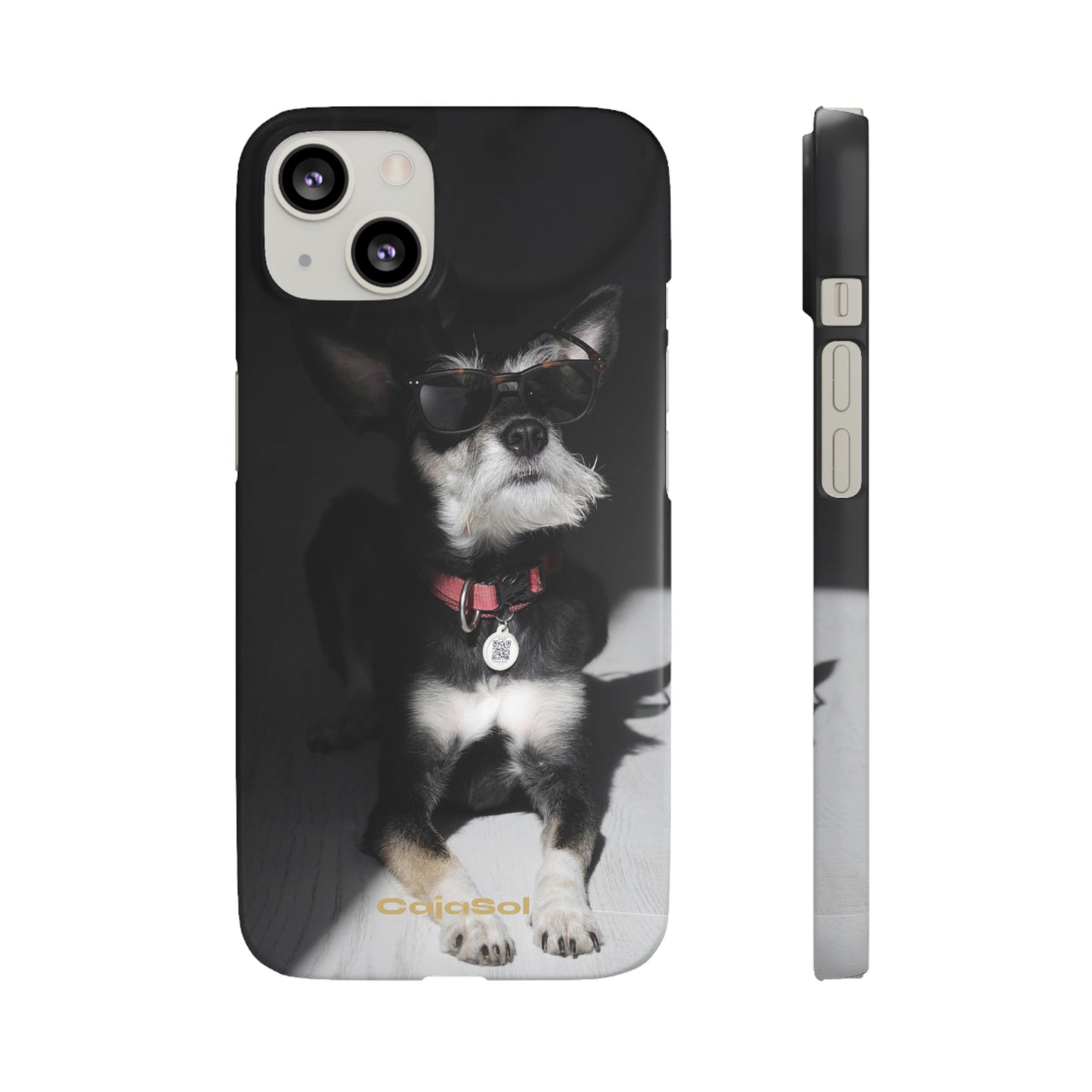 Cool Dog Cajasol - Stylish Pet