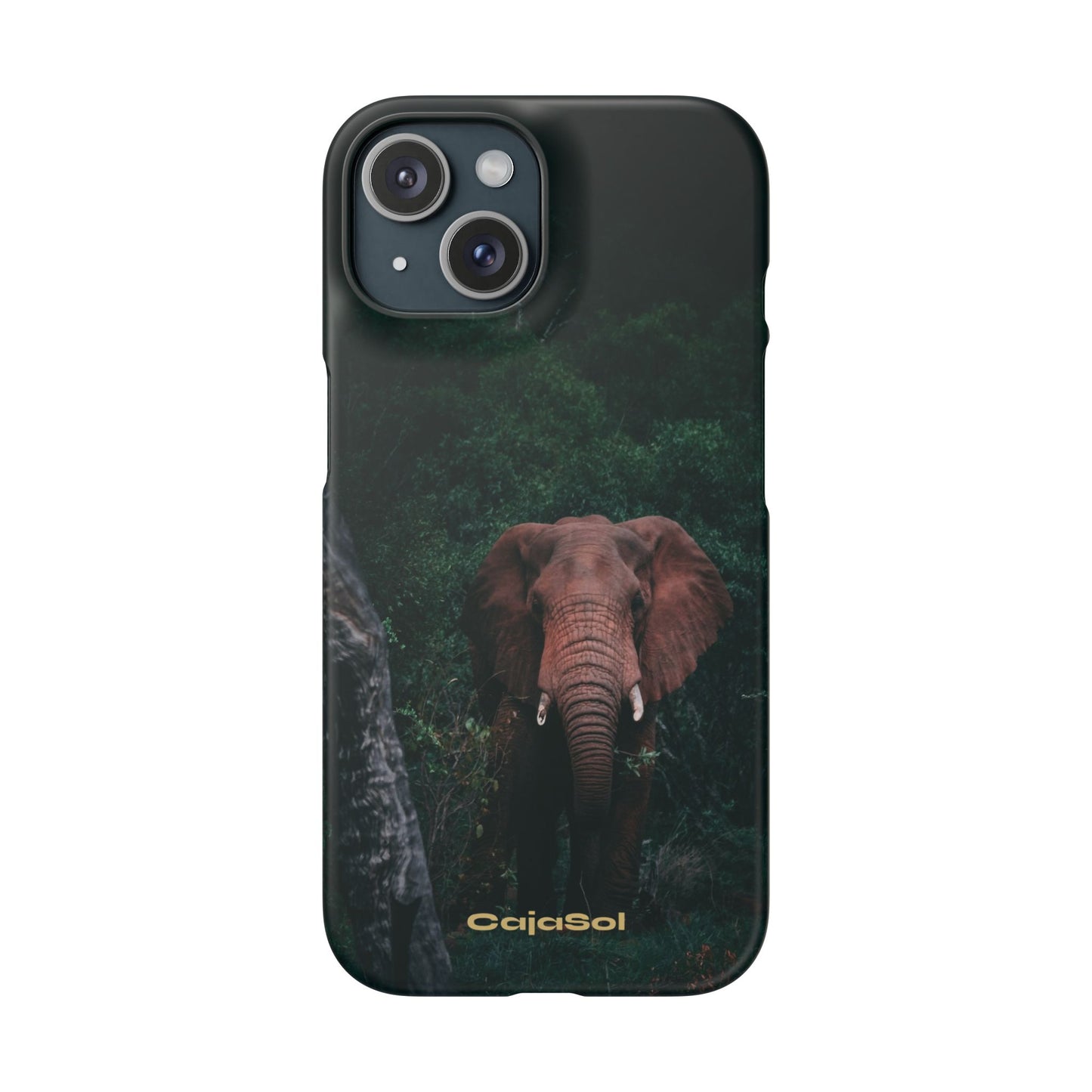 Wildlife Lover's Cajasol - Majestic Elephant