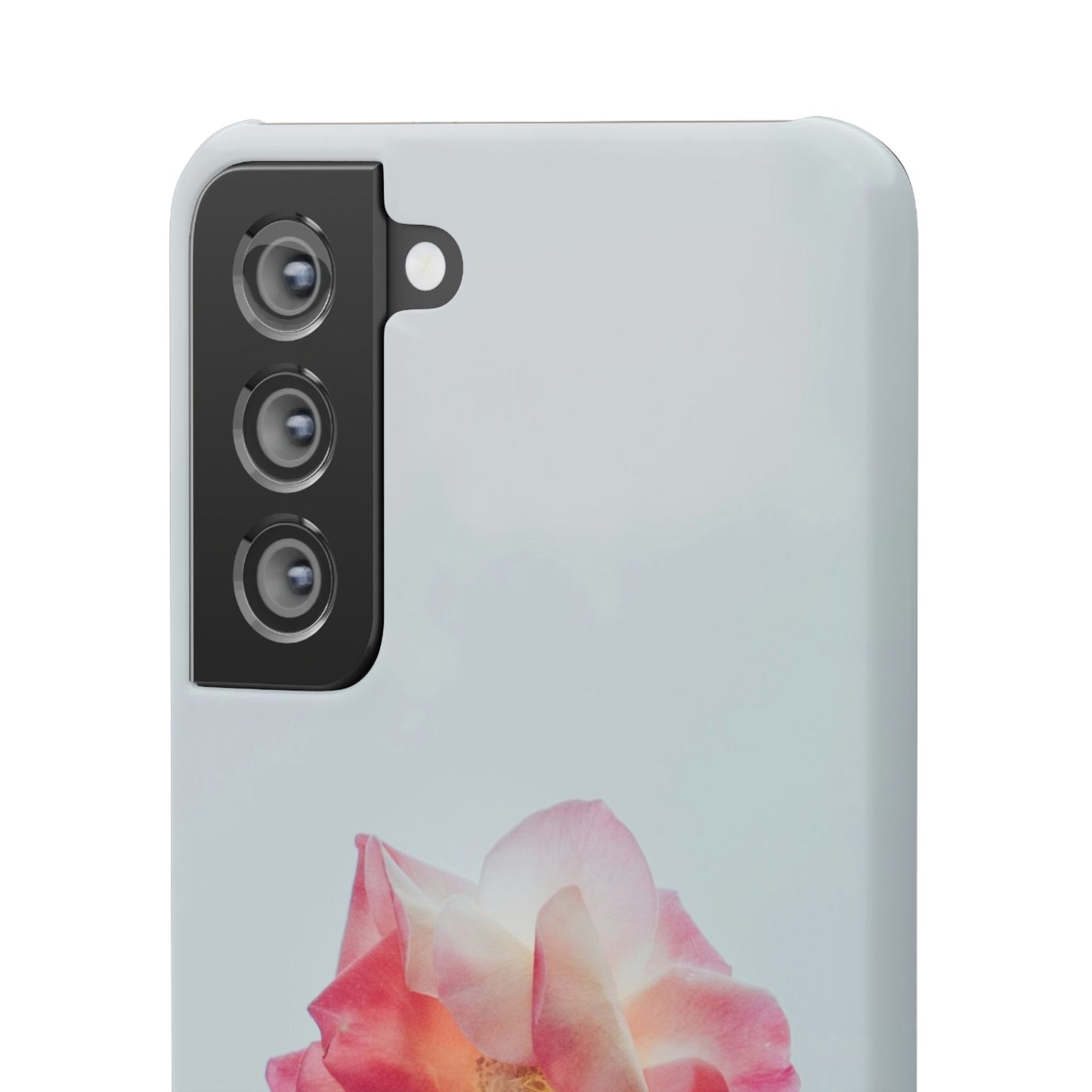 Floral Cajasol - Elegant Pink Flower