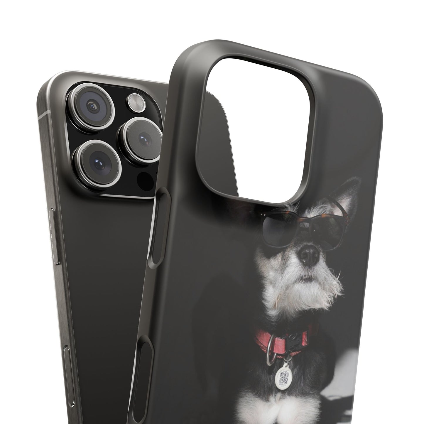 Cool Dog Cajasol - Stylish Pet