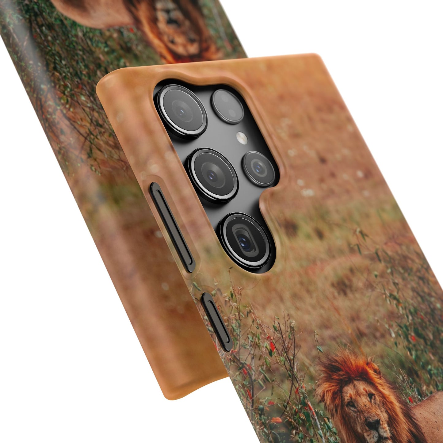 Majestic Lion Cajasol - Nature Inspired