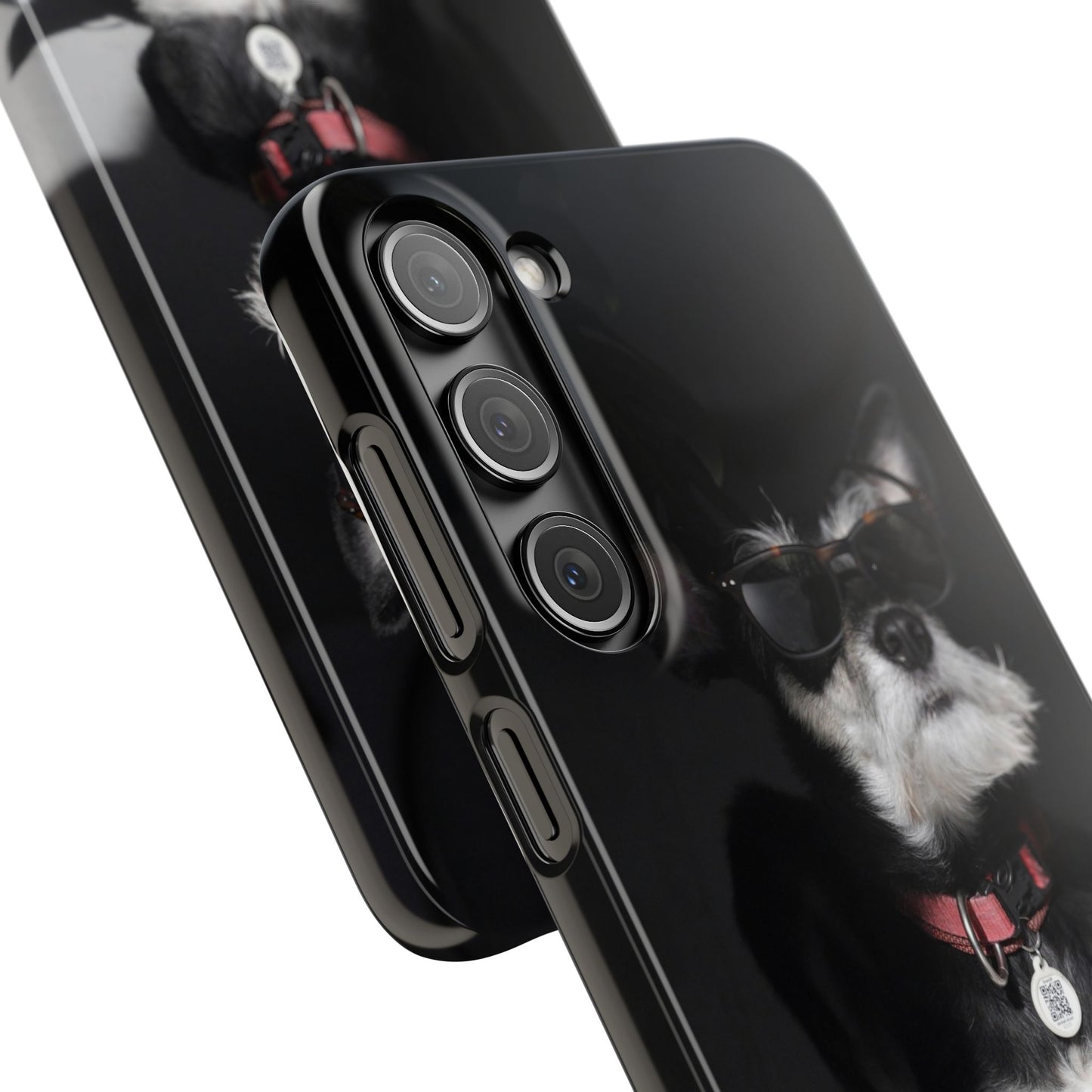 Cool Dog Cajasol - Stylish Pet