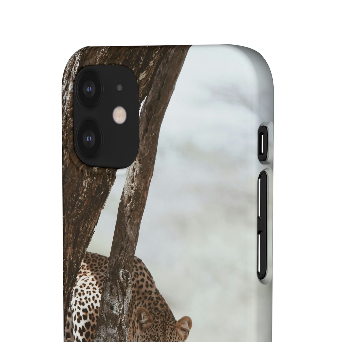 Leopard Cajasol - Wildlife Vibes