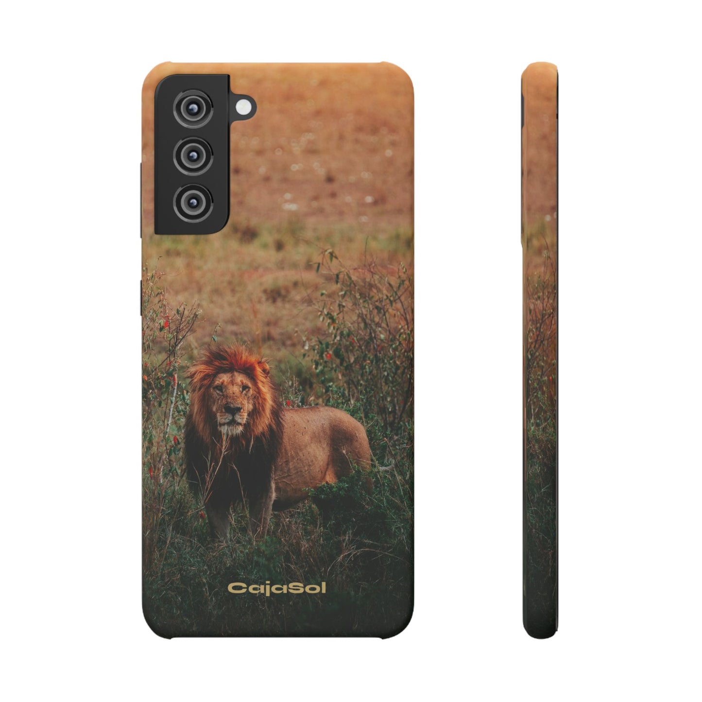 Majestic Lion Cajasol - Nature Inspired