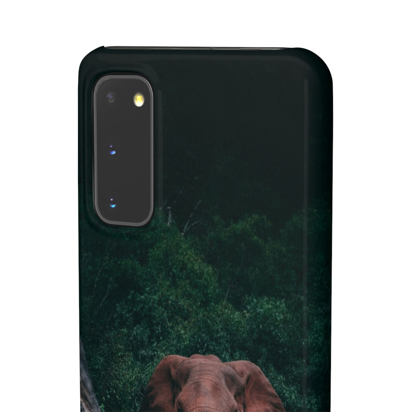 Wildlife Lover's Cajasol - Majestic Elephant