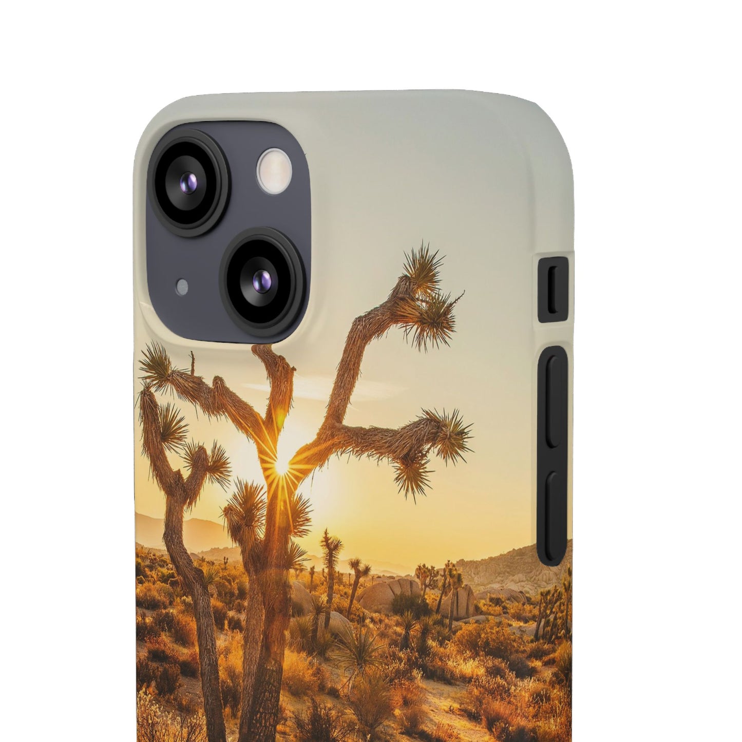 Desert Sunset Cajasol - Stylish Protection for Nature Lovers