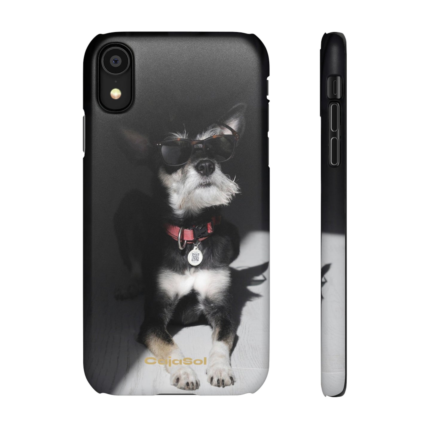 Cool Dog Cajasol - Stylish Pet