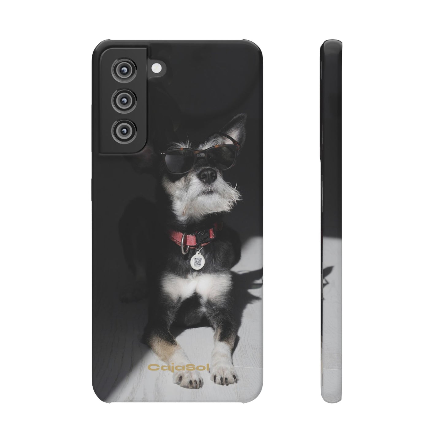 Cool Dog Cajasol - Stylish Pet