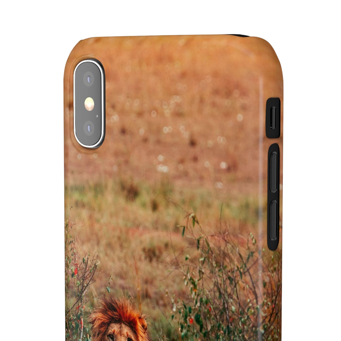 Majestic Lion Cajasol - Nature Inspired
