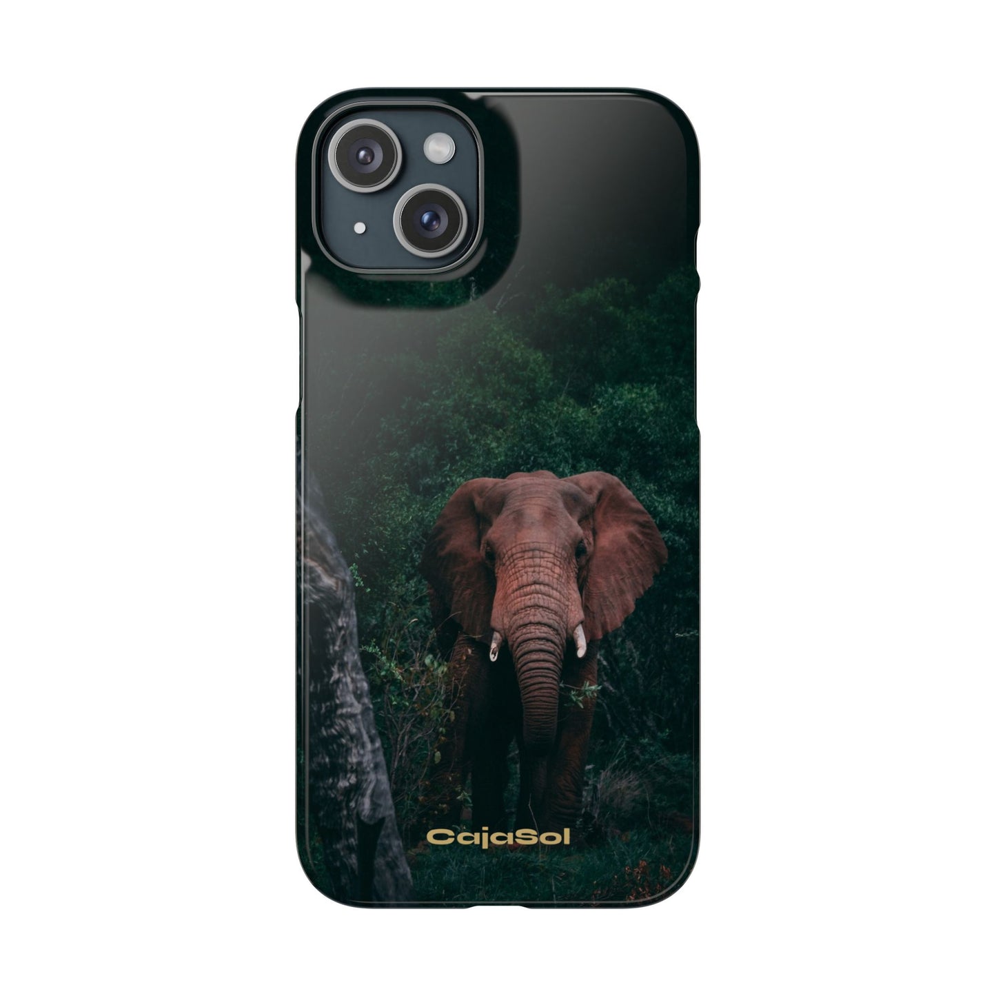 Wildlife Lover's Cajasol - Majestic Elephant