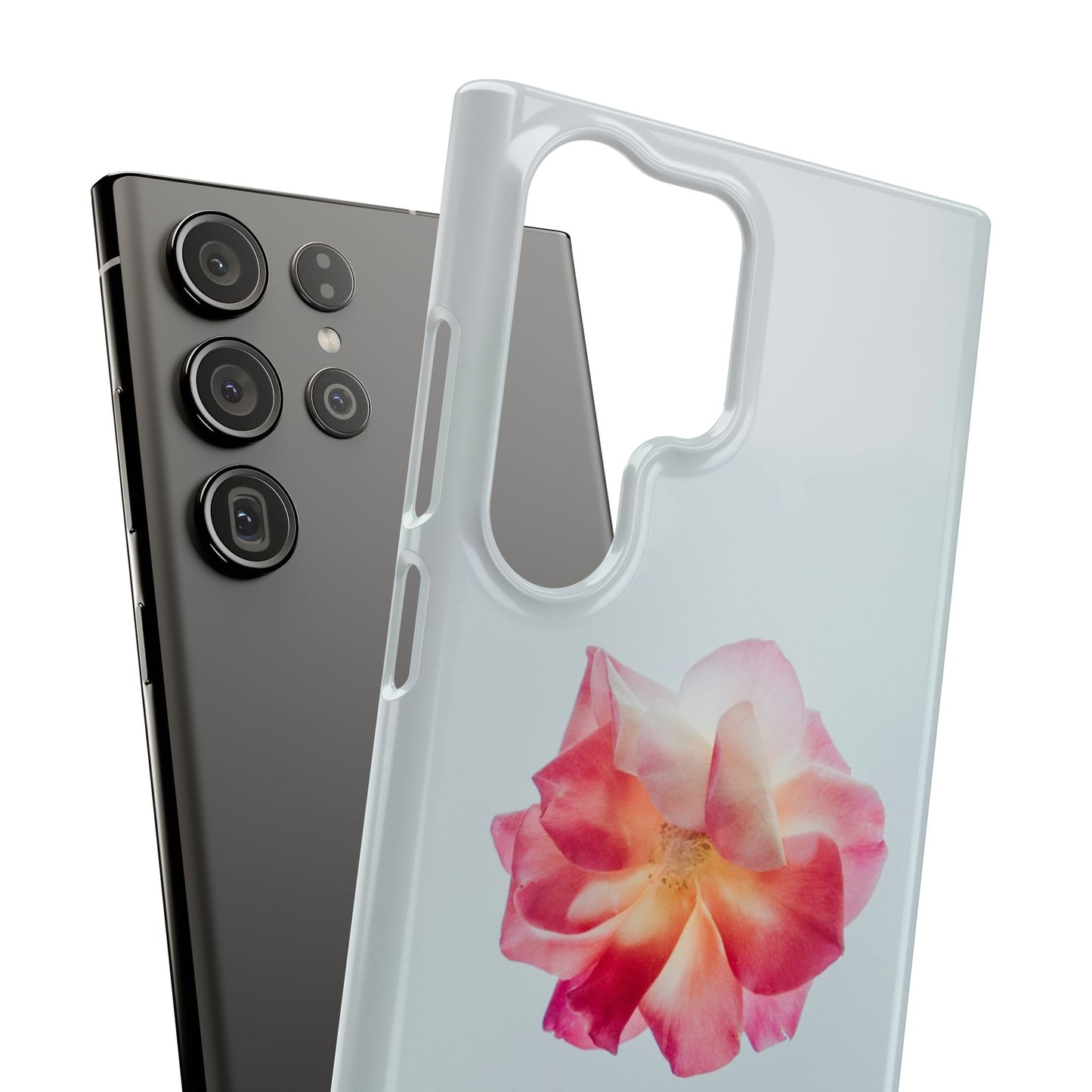 Floral Cajasol - Elegant Pink Flower