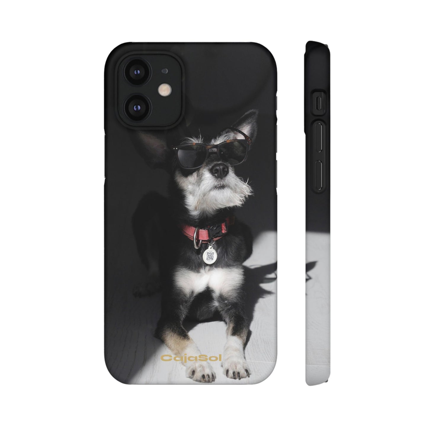 Cool Dog Cajasol - Stylish Pet