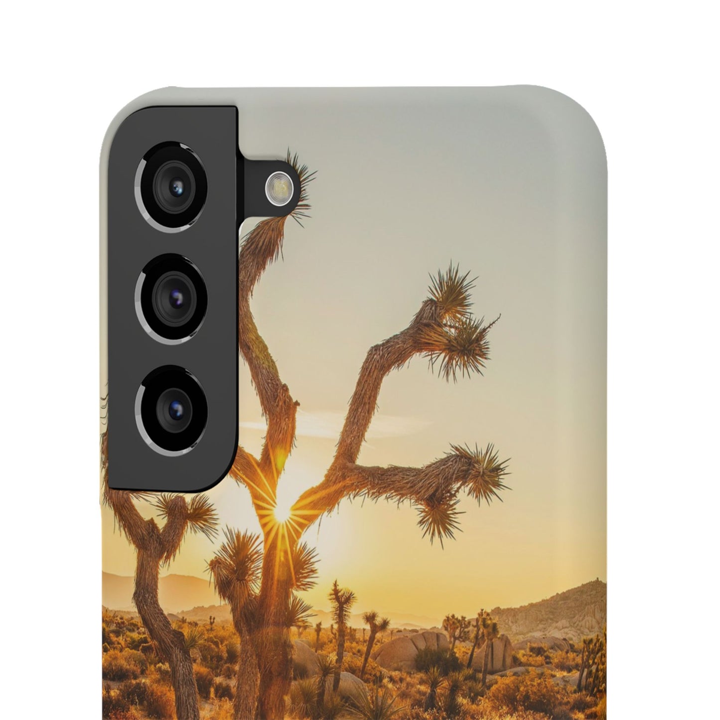 Desert Sunset Cajasol - Stylish Protection for Nature Lovers