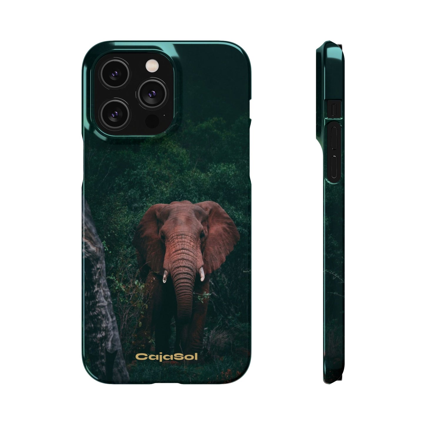 Wildlife Lover's Cajasol - Majestic Elephant