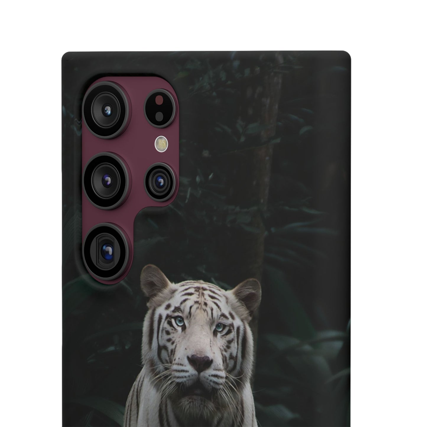 Majestic White Tiger Cajasol - Elegant & Protective for Wildlife Lovers