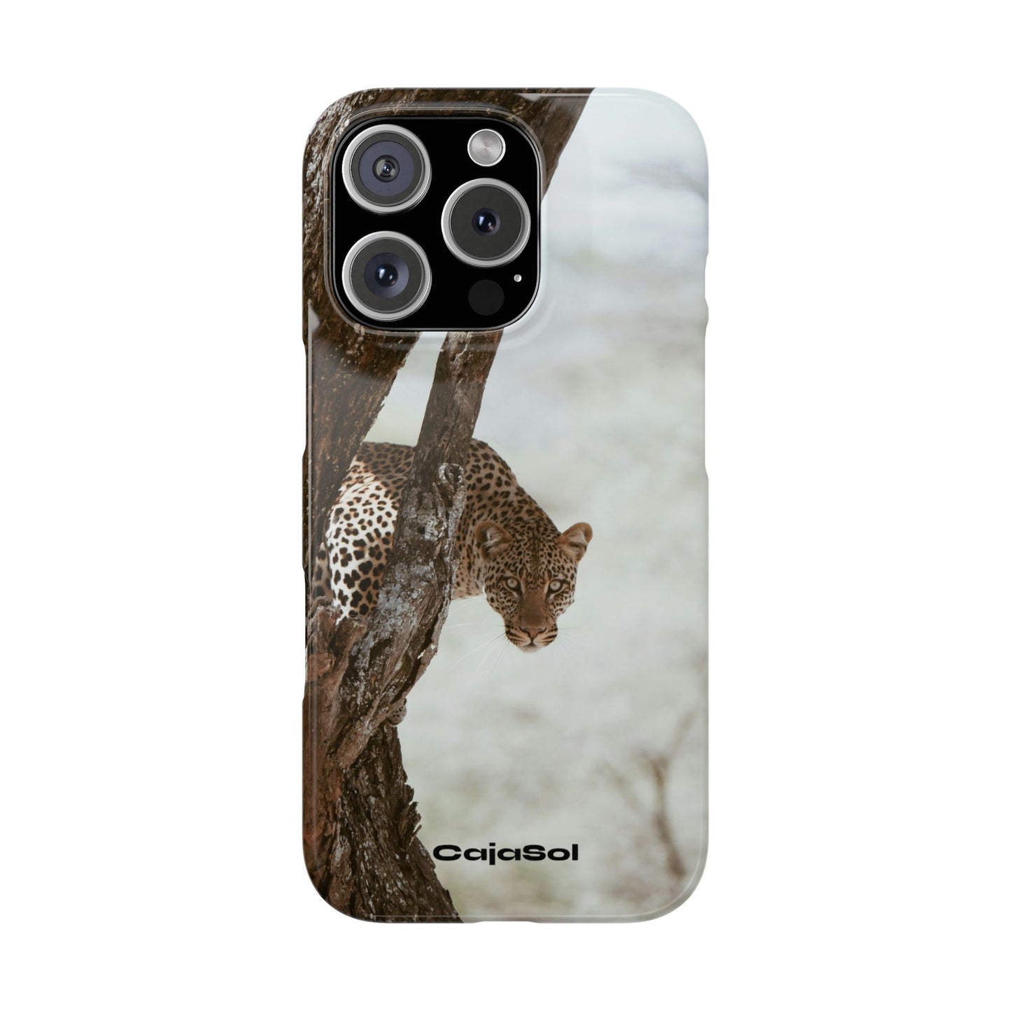 Leopard Cajasol - Wildlife Vibes
